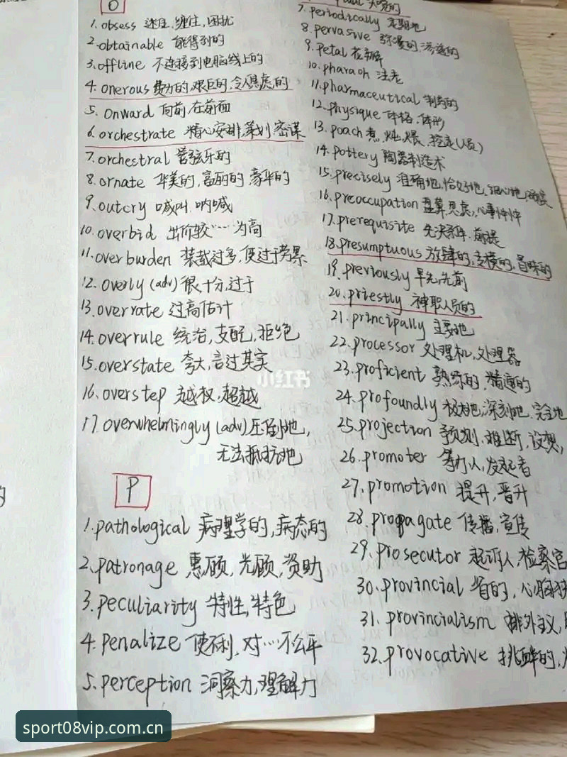 资深用户分享：08VIP体育平台使用心得，从注册到下载的完整实战经验